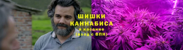 прущие грибы Армянск