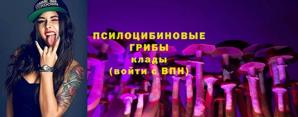 прущие грибы Армянск
