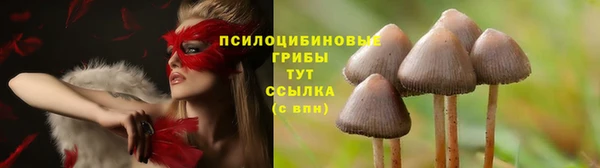 гашиш Алексеевка