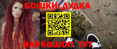 гидра Гатчина