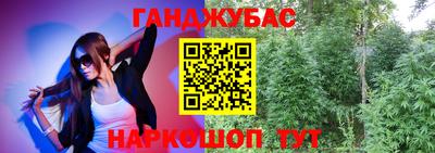 гидра Гатчина