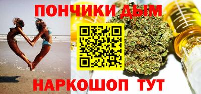 сатива Гагарин
