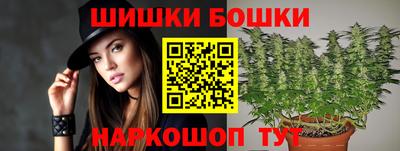 гидра Гатчина