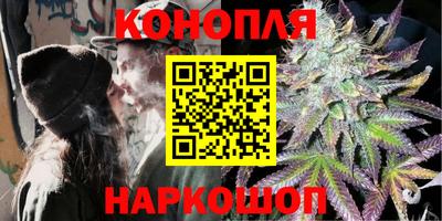 гидра Гатчина