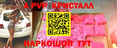 гидра Гатчина