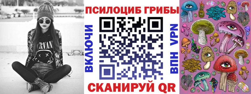 Галлюциногенные грибы Psilocybine cubensis  KRAKEN зеркало  Нарткала 