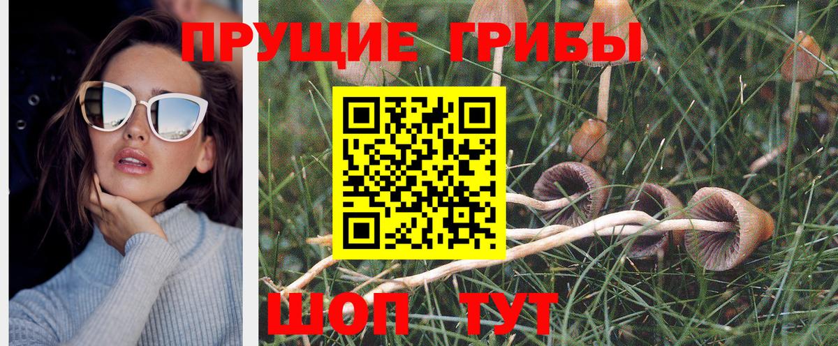 Нарткала  Галлюциногенные грибы мухоморы  Вход с VPN  Галлюциногенные грибы прущие грибы 